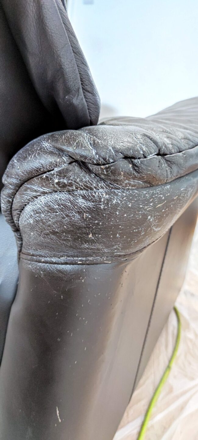 Cat and Dog Scratches on leather Cat and Dog Scratches on leather